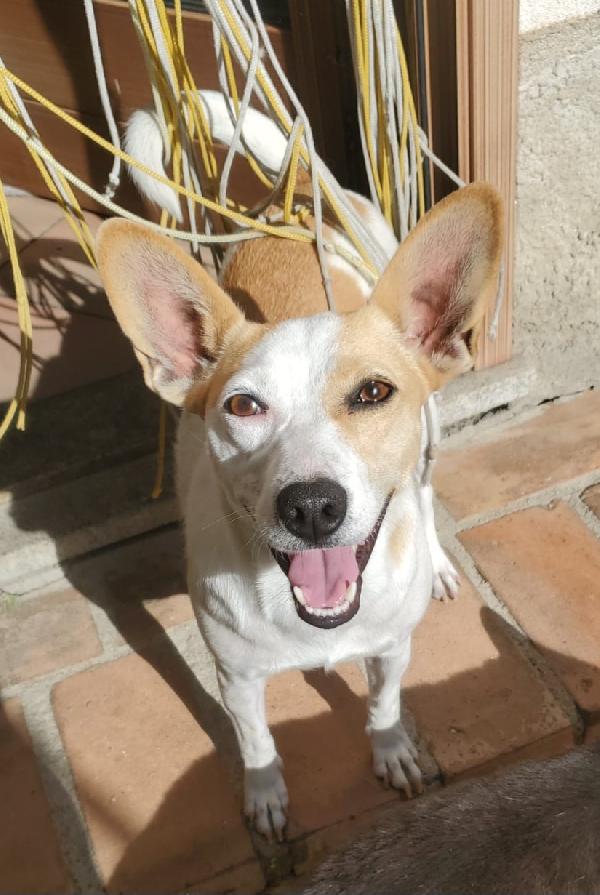 LILLY TAGLIA PICCOLA  Foto 5