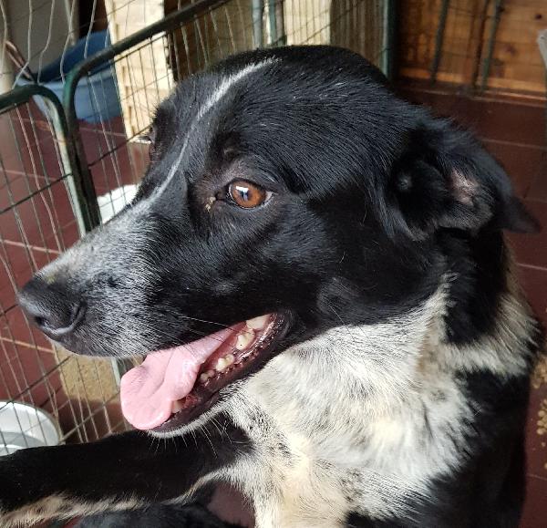 NOEMI 15 KILI  Foto 2