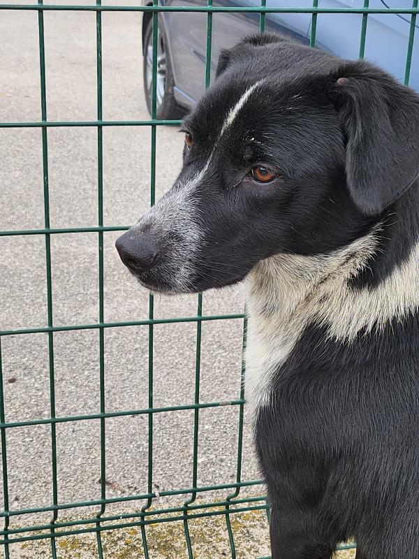 NOEMI 15 KILI  Foto 3