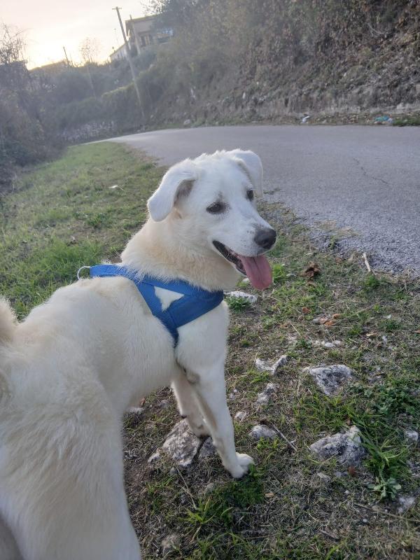 Fiorella 7 mesi Foto 2