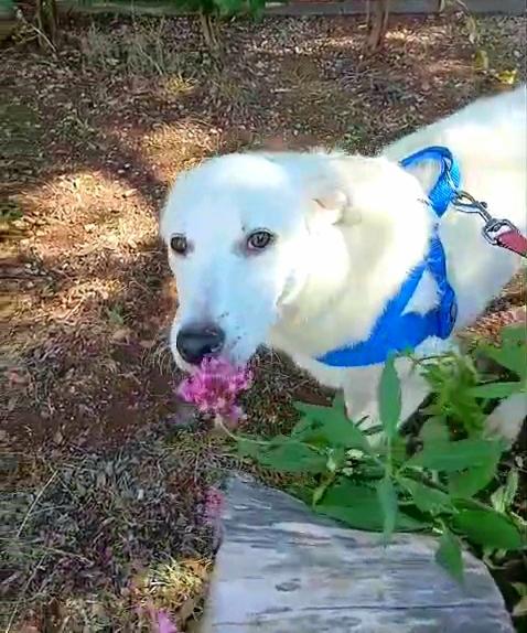 Fiorella 7 mesi Foto 3