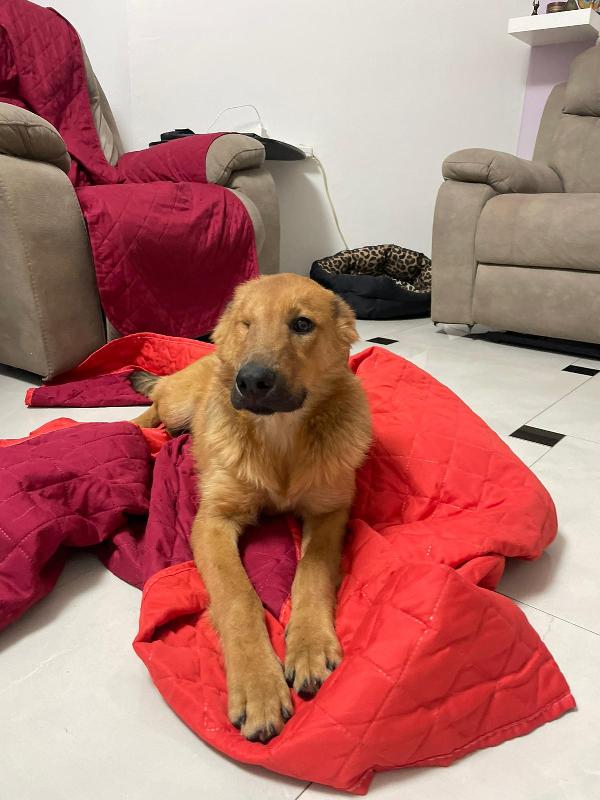 Mio.taglia media Foto 2