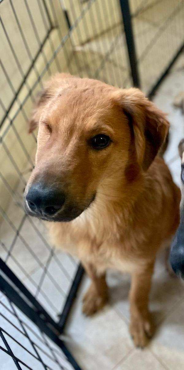 Mio.taglia media Foto 3