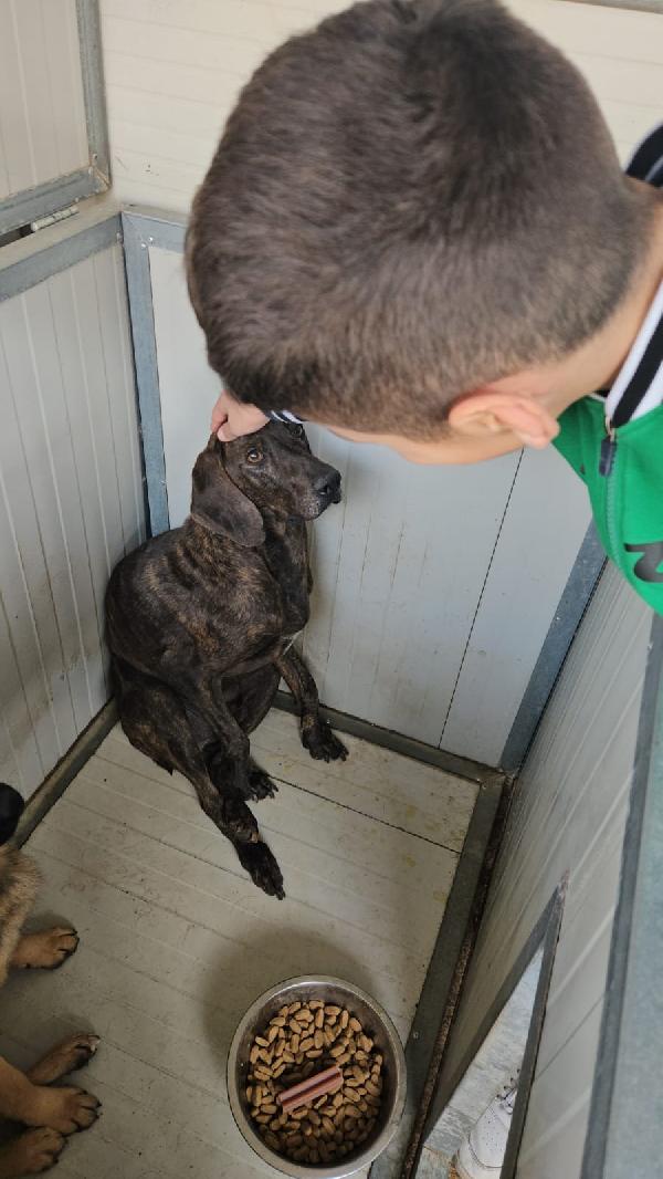 Michele: adozione del cuore  Foto 9