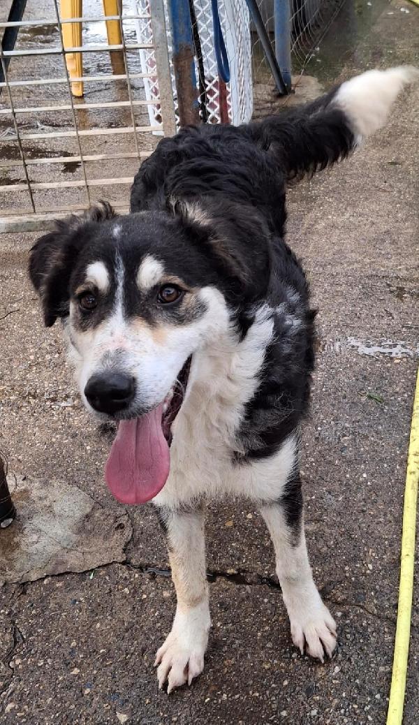 Bretzel❣️ Foto 4