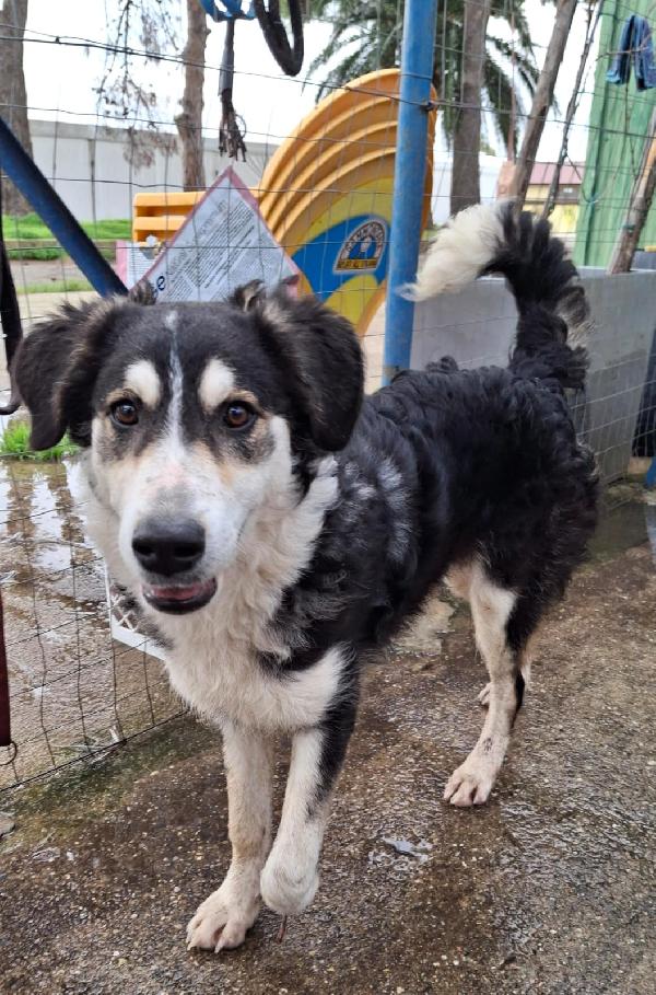 Bretzel❣️ Foto 5