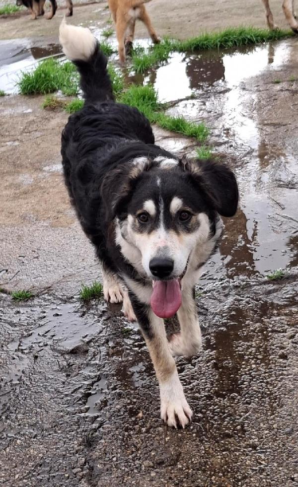 Bretzel❣️ Foto 7