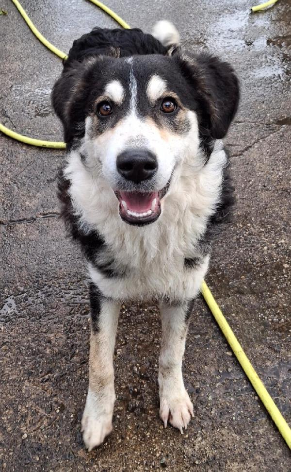 Bretzel❣️ Foto 8