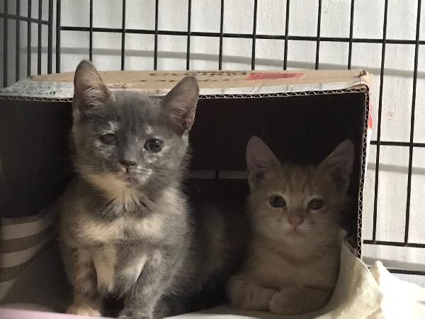 Bello e bella  Foto 2