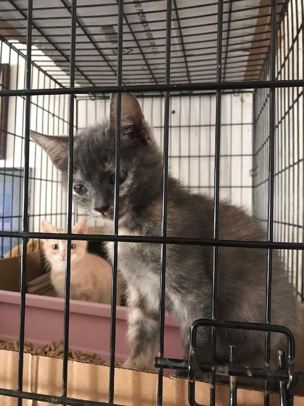 Bello e bella  Foto 5