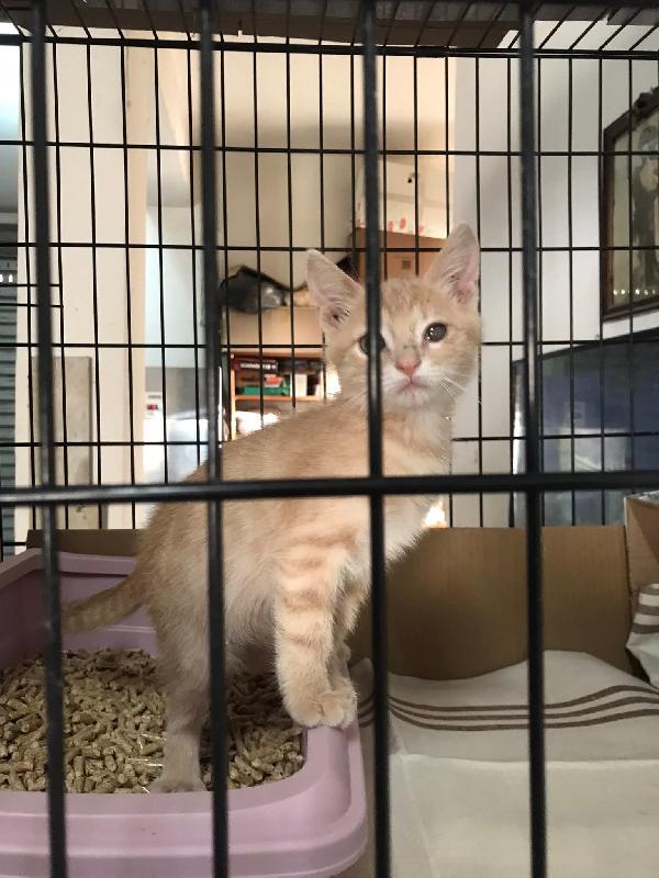 Bello e bella  Foto 6