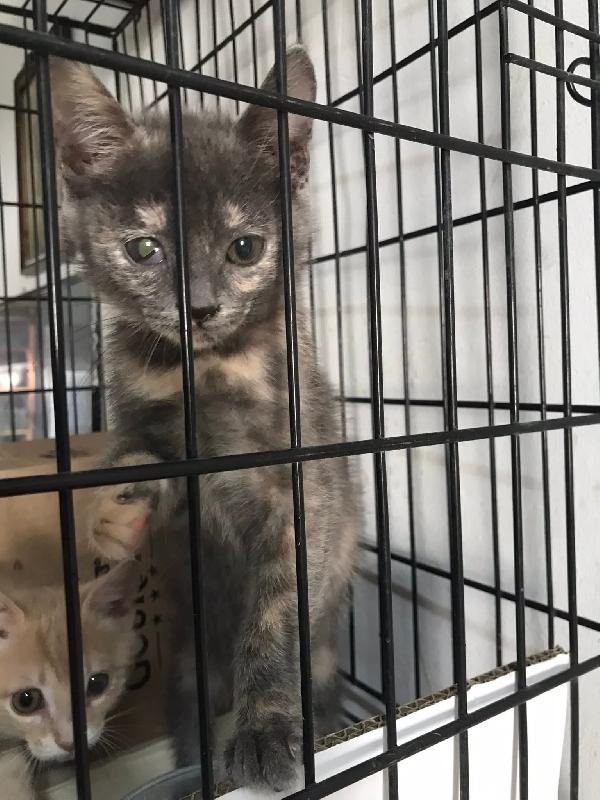 Bello e bella  Foto 7