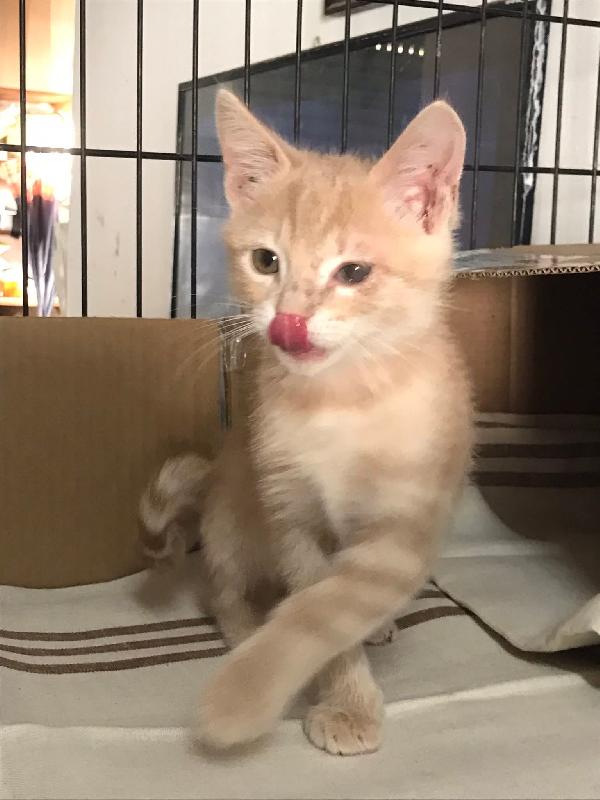 Bello e bella  Foto 8