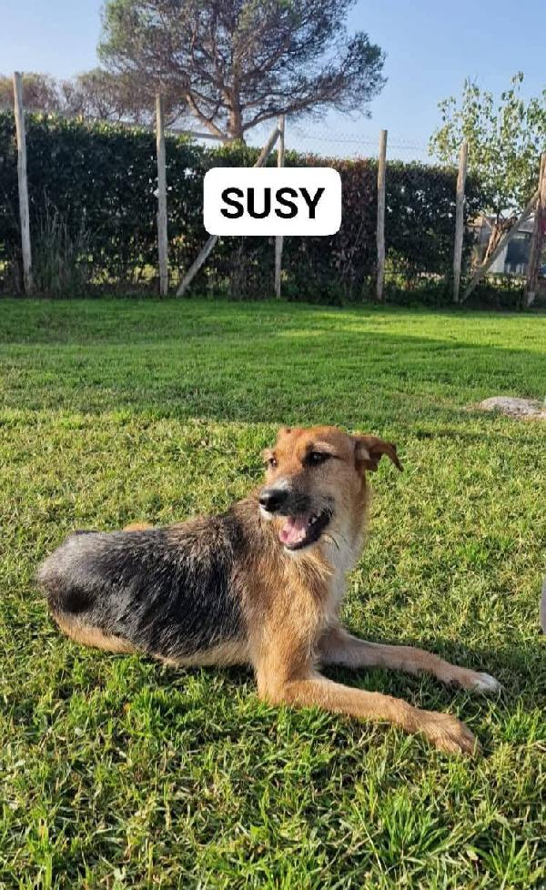 SUSY - UN PICCOLO TESORO IN ATTESA DI AMORE Foto 2