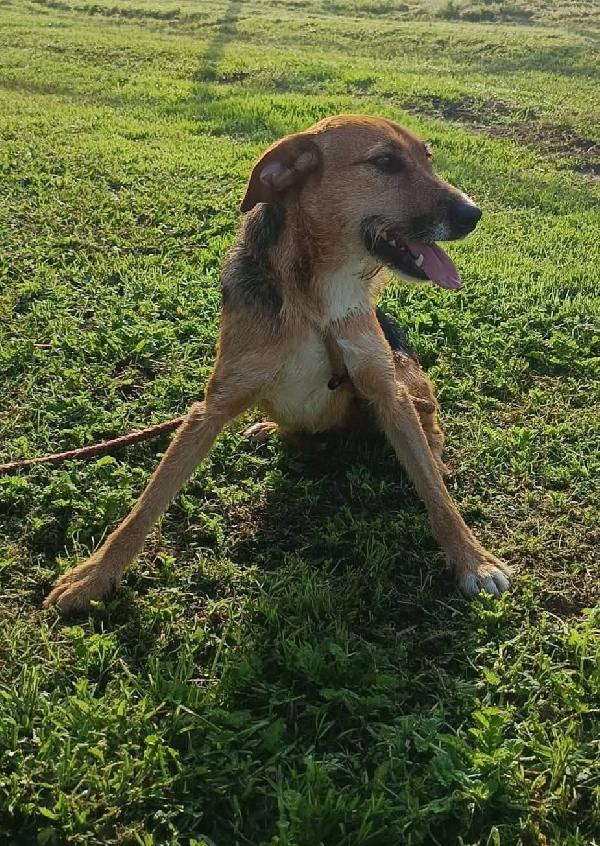 SUSY - UN PICCOLO TESORO IN ATTESA DI AMORE Foto 3