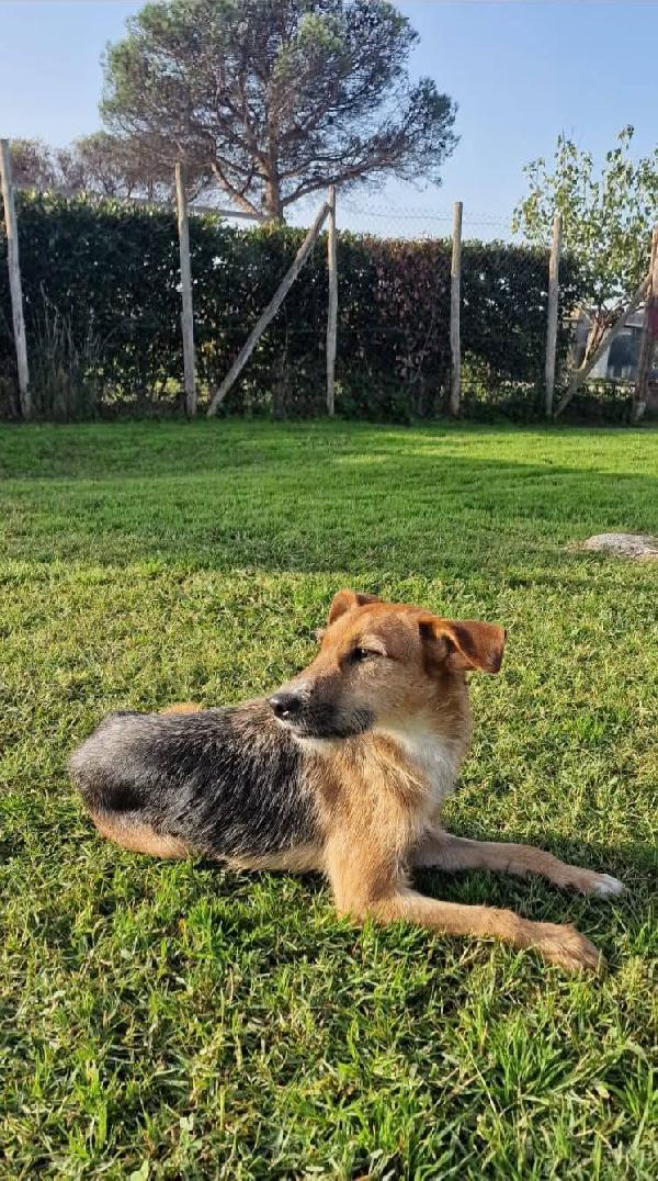 SUSY - UN PICCOLO TESORO IN ATTESA DI AMORE Foto 4