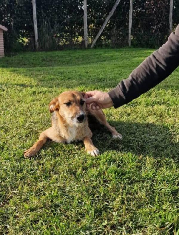 SUSY - UN PICCOLO TESORO IN ATTESA DI AMORE Foto 5