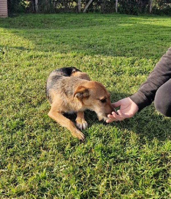 SUSY - UN PICCOLO TESORO IN ATTESA DI AMORE Foto 6