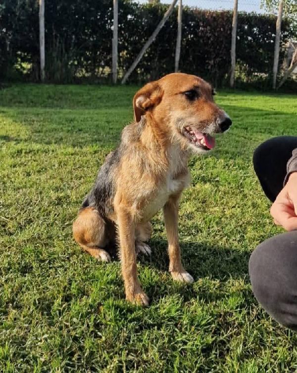 SUSY - UN PICCOLO TESORO IN ATTESA DI AMORE Foto 7