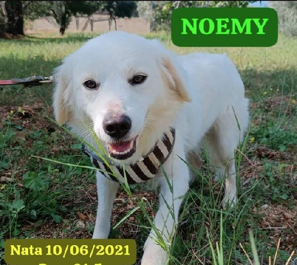 Noemi E Terence 4Anni Kg16 Belli E Buoni Reggio Calabria 