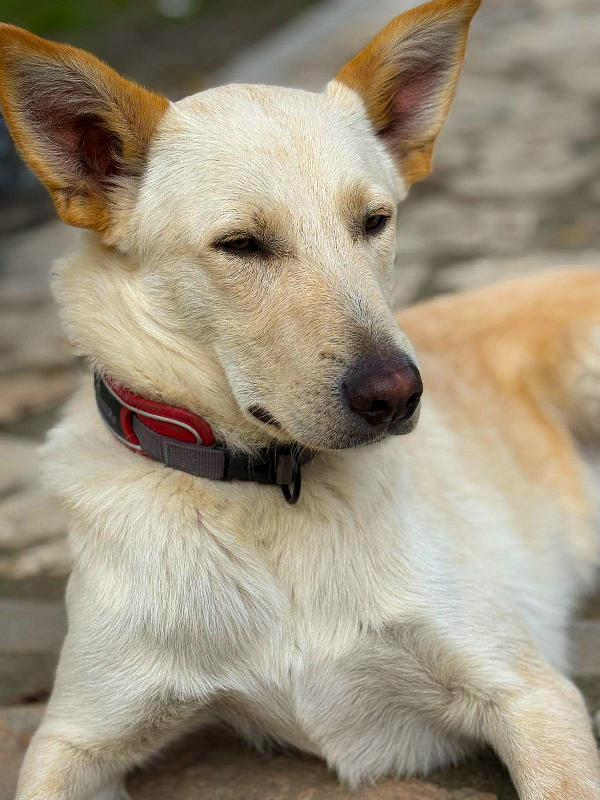 Romeo❤️🏰 Foto 3