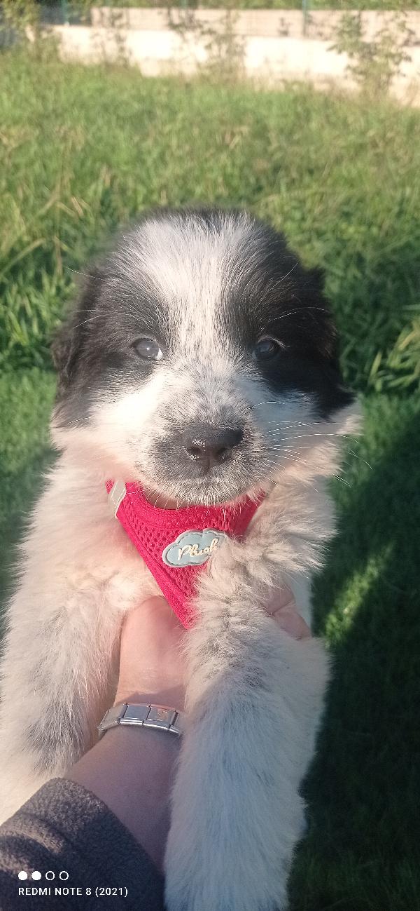 Dolce Candy..... Foto 2