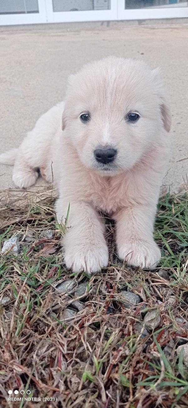 Piuma 🍀💞🍀🍀💞🍀💞🍀💞🍀🍀💞🍀💞