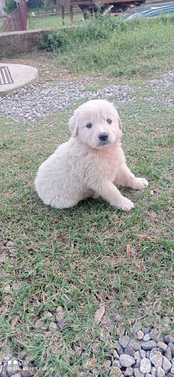 Piuma 🍀💞🍀🍀💞🍀💞🍀💞🍀🍀💞🍀💞 Foto 3