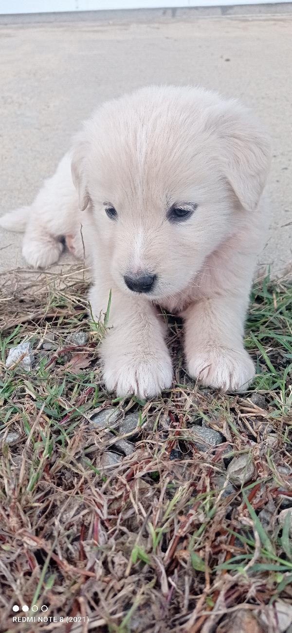 Piuma 🍀💞🍀🍀💞🍀💞🍀💞🍀🍀💞🍀💞 Foto 4