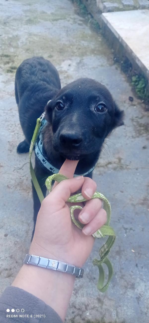 🥺🥺🥺🥺🥺 Rio 😞😞😞😞😞😞