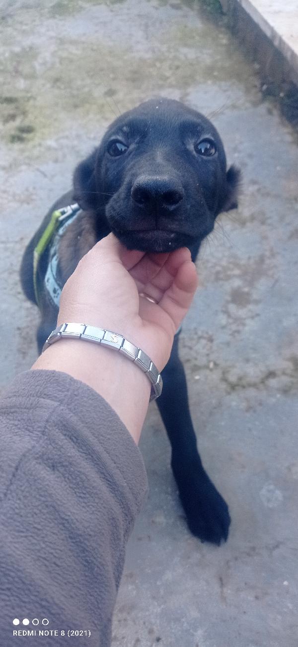 🥺🥺🥺🥺🥺 Rio 😞😞😞😞😞😞 Foto 2