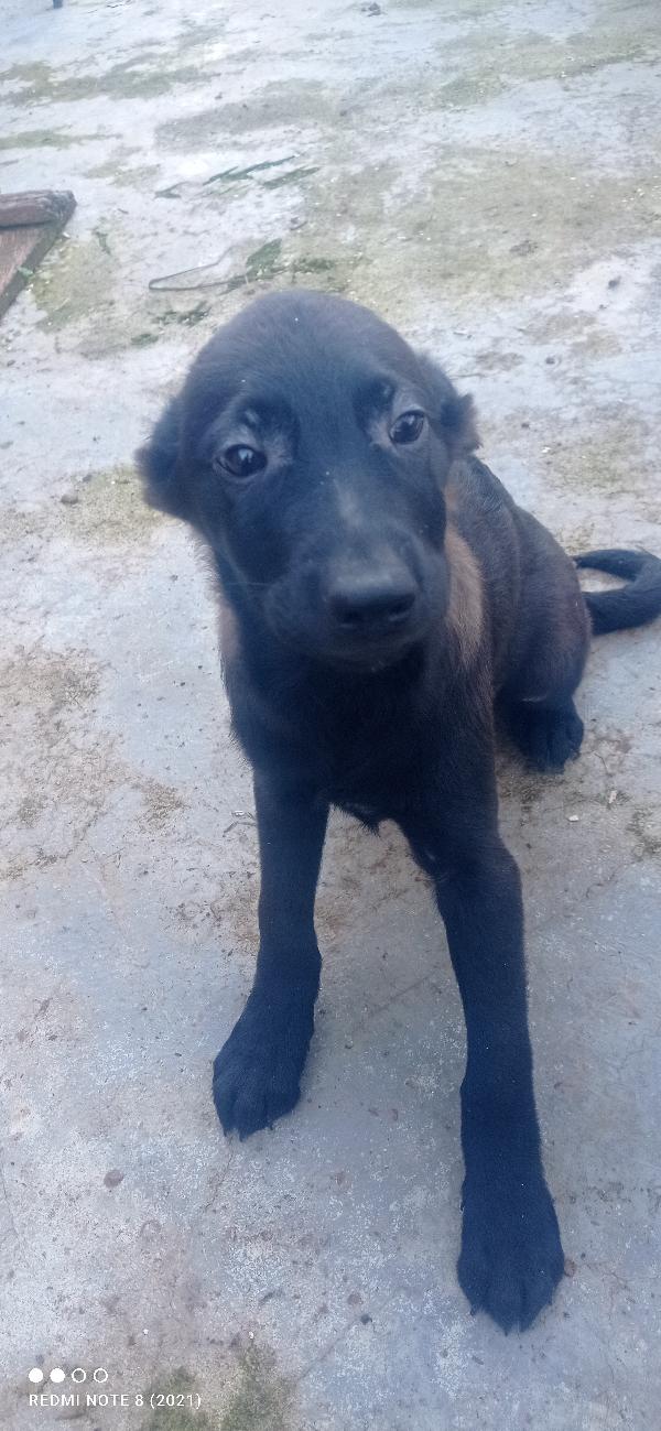 🥺🥺🥺🥺🥺 Rio 😞😞😞😞😞😞 Foto 3