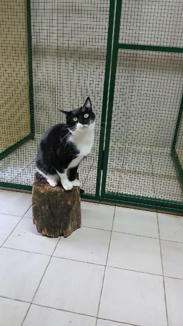 KARIN NON TI ARRENDERE, CONTINUA A SOGNARE| Foto 6