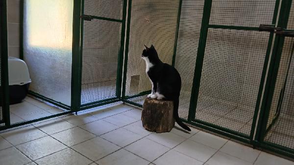 KARIN NON TI ARRENDERE, CONTINUA A SOGNARE| Foto 8