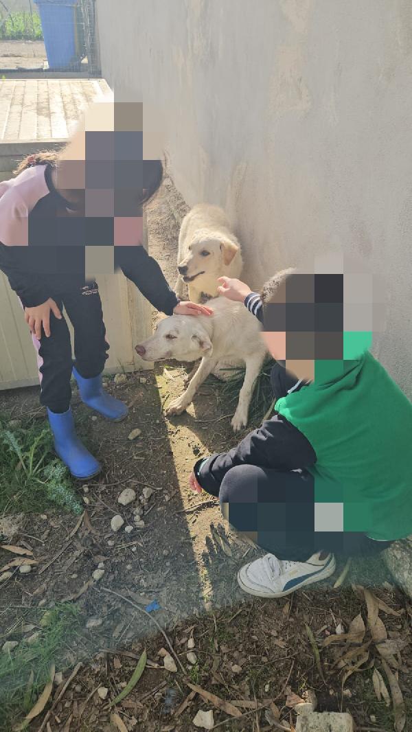 Micky: 1 anno, socievole ed equilibrata Foto 6