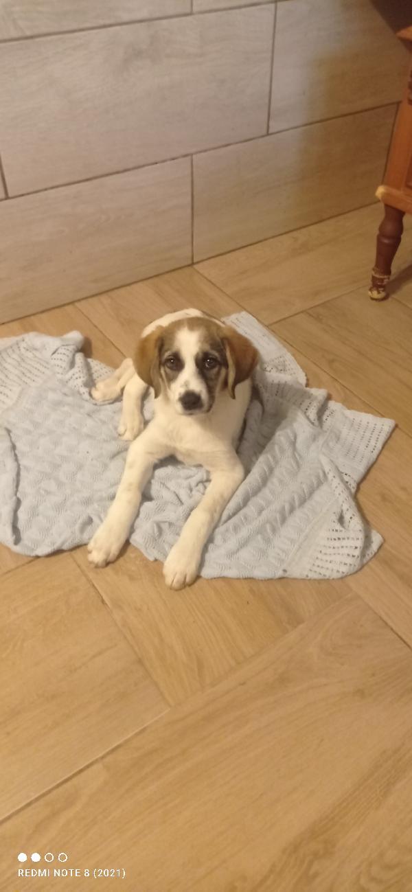 Ambra 💞💞🍀🍀🍀💞🍀💞 Foto 2