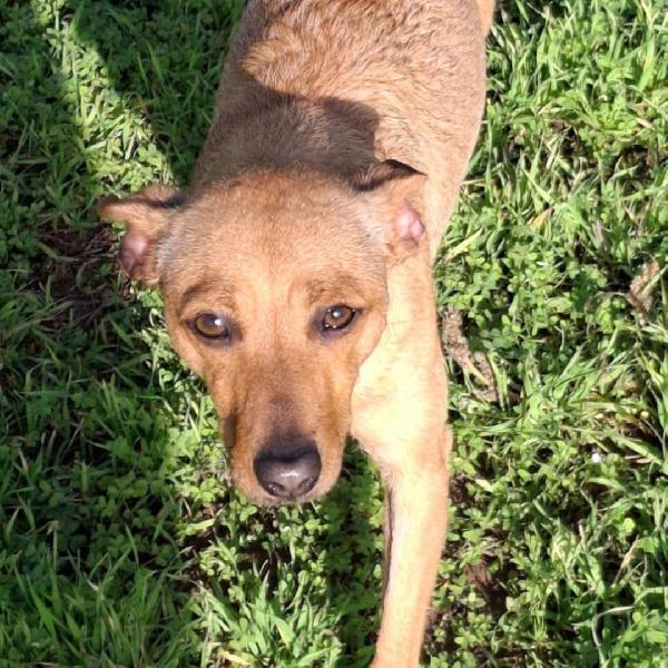 Jasmine🩷🧞‍♀️ Foto 2