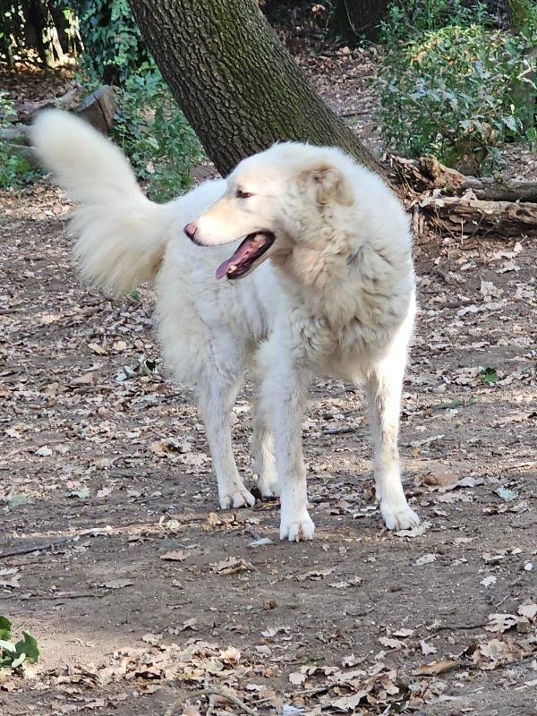 Evita 3Anni E 1/2 Tolta Da 1Lager Roma Sos Casa