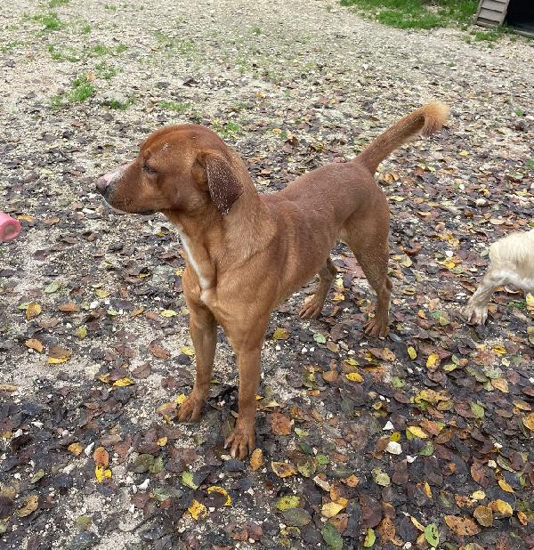 LO SPLENDIDO CORFU' Foto 2