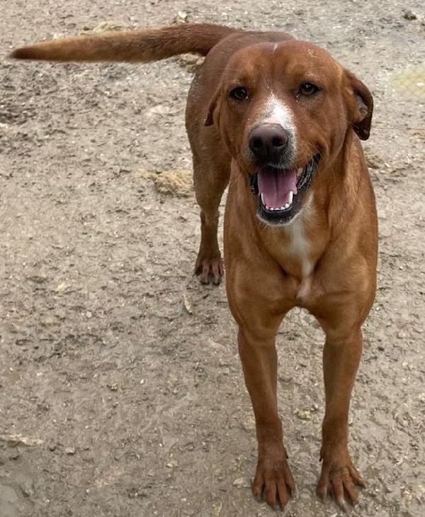 LO SPLENDIDO CORFU' Foto 3