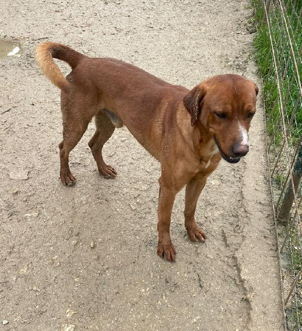 LO SPLENDIDO CORFU' Foto 4