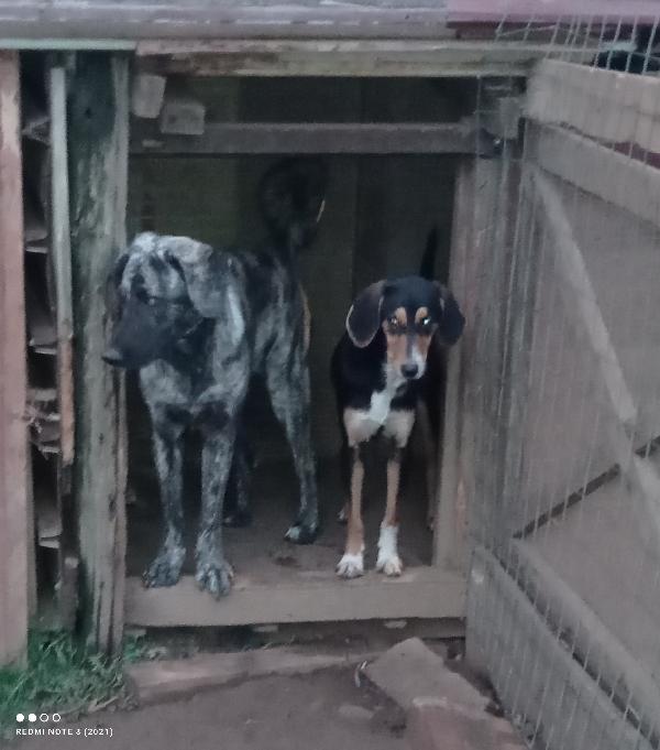 È arrivato l inverno 😞😞😞😞👇👇👇👇 Foto 2