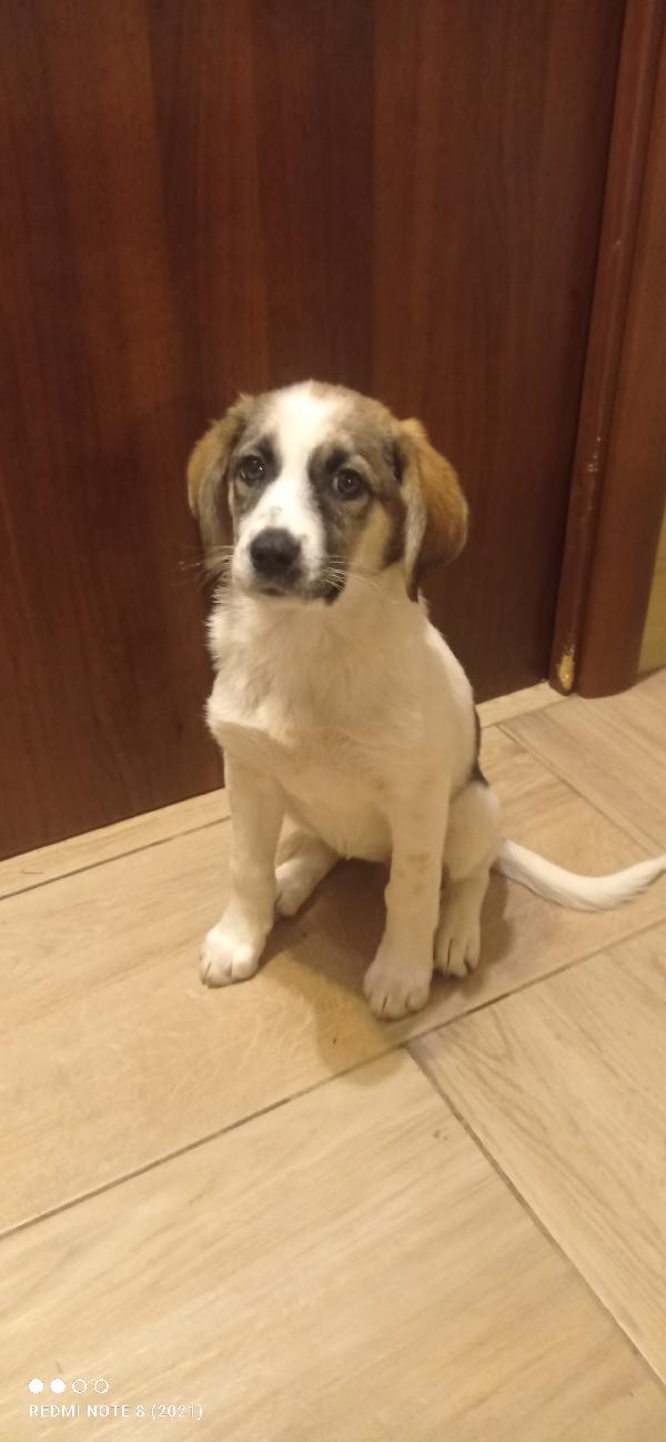 È arrivato l inverno 😞😞😞😞👇👇👇👇 Foto 3