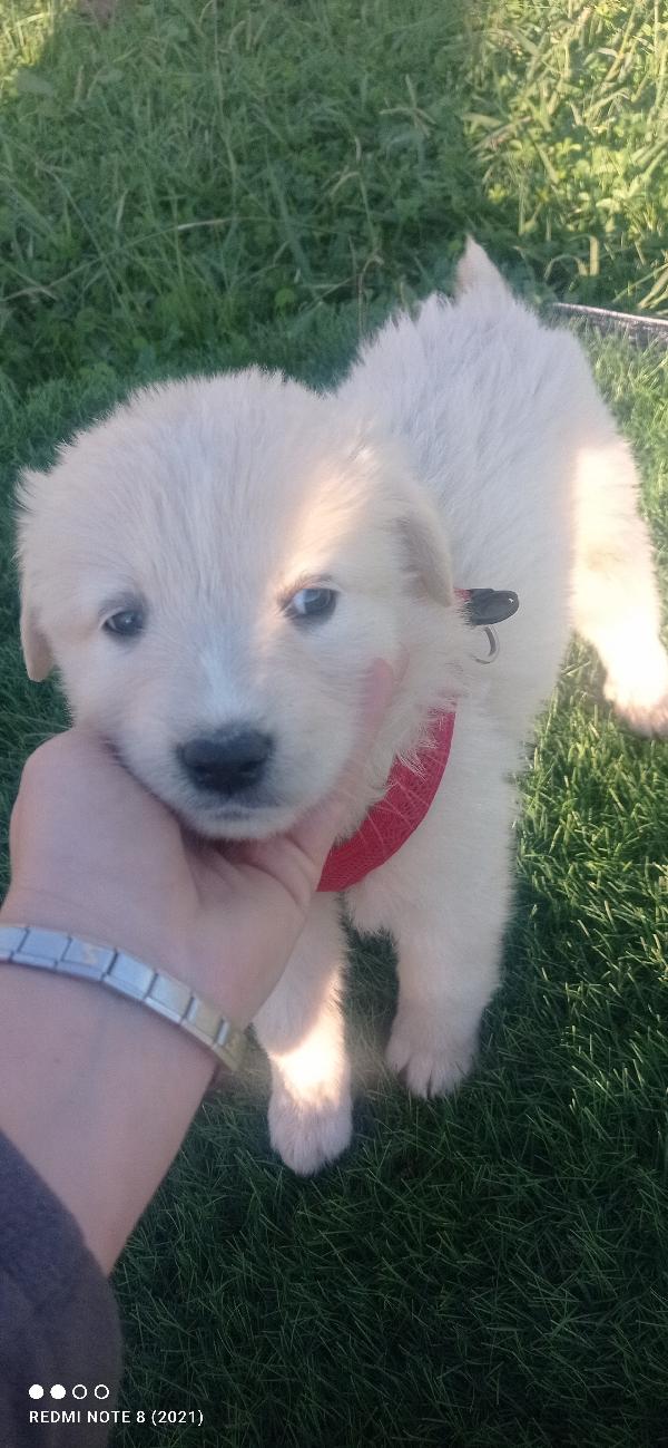 È arrivato l inverno 😞😞😞😞👇👇👇👇 Foto 5