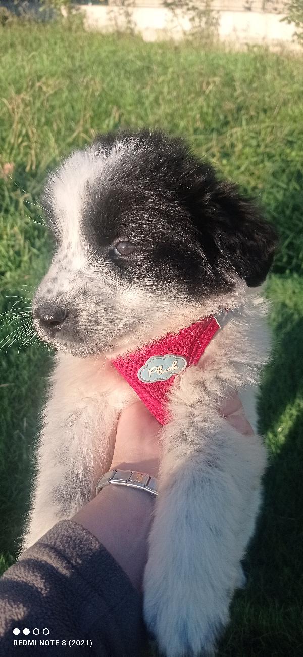 È arrivato l inverno 😞😞😞😞👇👇👇👇 Foto 6