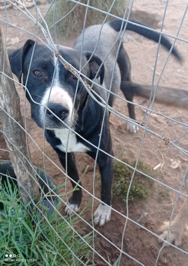 È arrivato l inverno 😞😞😞😞👇👇👇👇 Foto 8