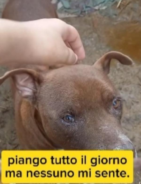 8anni di attesa..chi la può finalmente aiutare? Foto 1