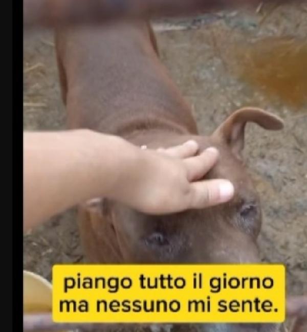 8anni di attesa..chi la può finalmente aiutare? Foto 2