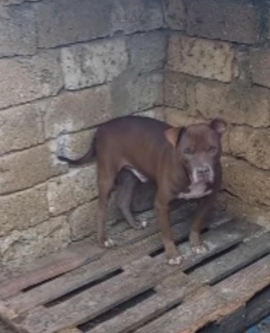 8anni di attesa..chi la può finalmente aiutare? Foto 4