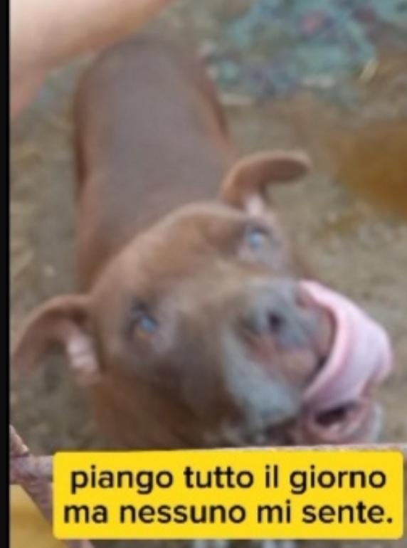 8anni di attesa..chi la può finalmente aiutare? Foto 5